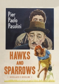 Hawks and Sparrows